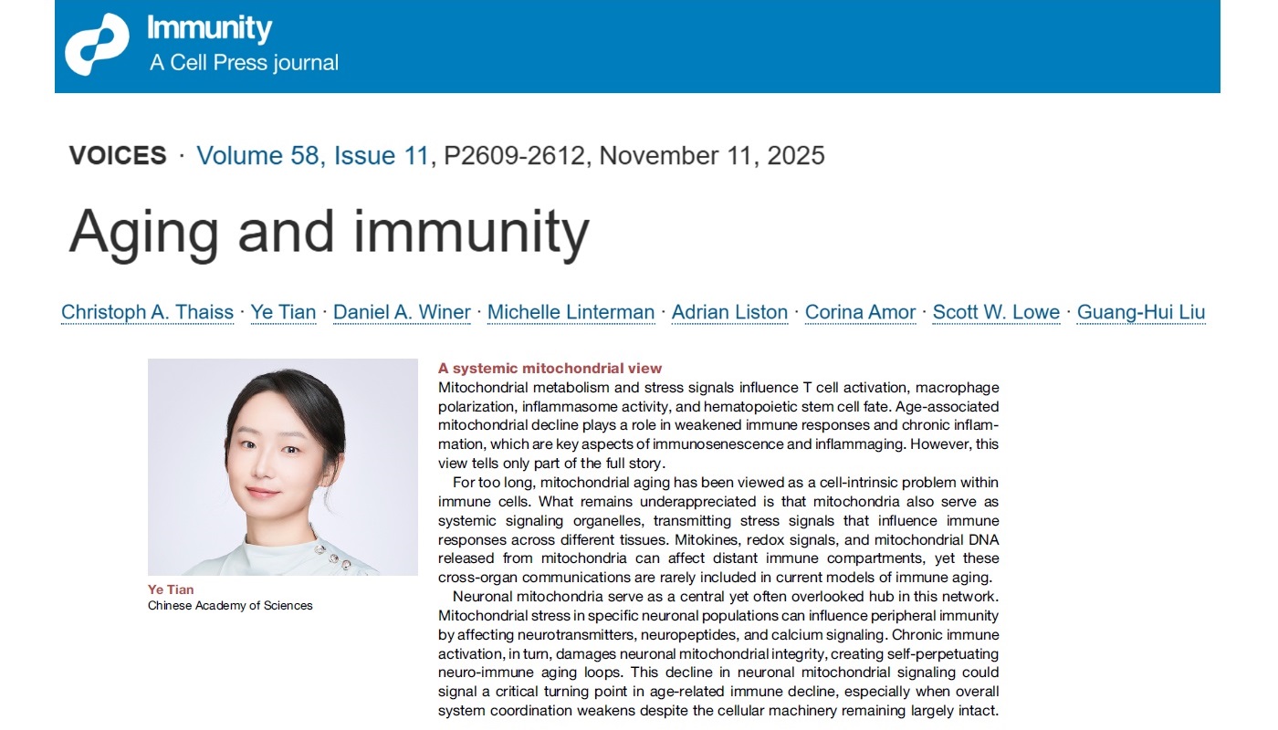 田烨研究员与多位全球知名学者合作应邀在Immunity撰写观点文章共同探讨“衰老和免疫前沿”
