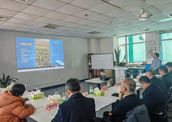 遗传发育所“小麦抗赤霉病新种质创制技术体系构建与突破性品种培育”通过科技成果评价