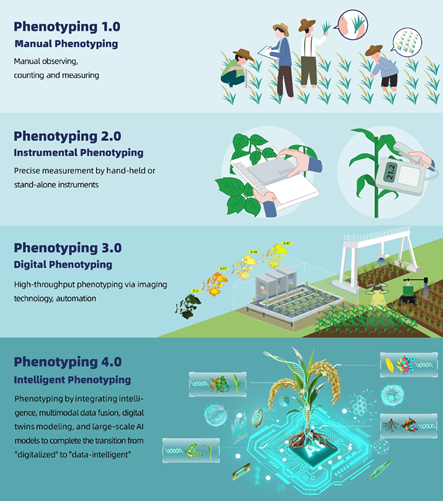 遗传发育所发表“迈向表型4.0时代：从瓶颈桎梏到范式突破”综述