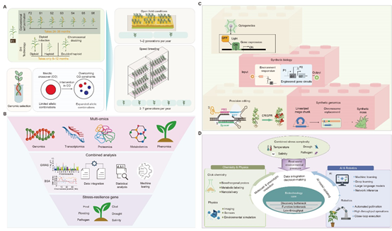许操团队应邀撰写整合生物技术加快气候韧性作物培育的综述文章