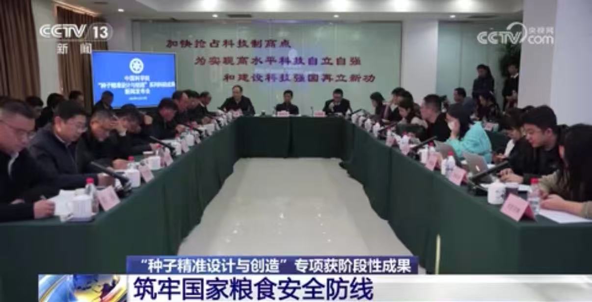 【中央电视台】“种子精准设计与创造”专项获阶段性成果 筑牢国家粮食安全防线