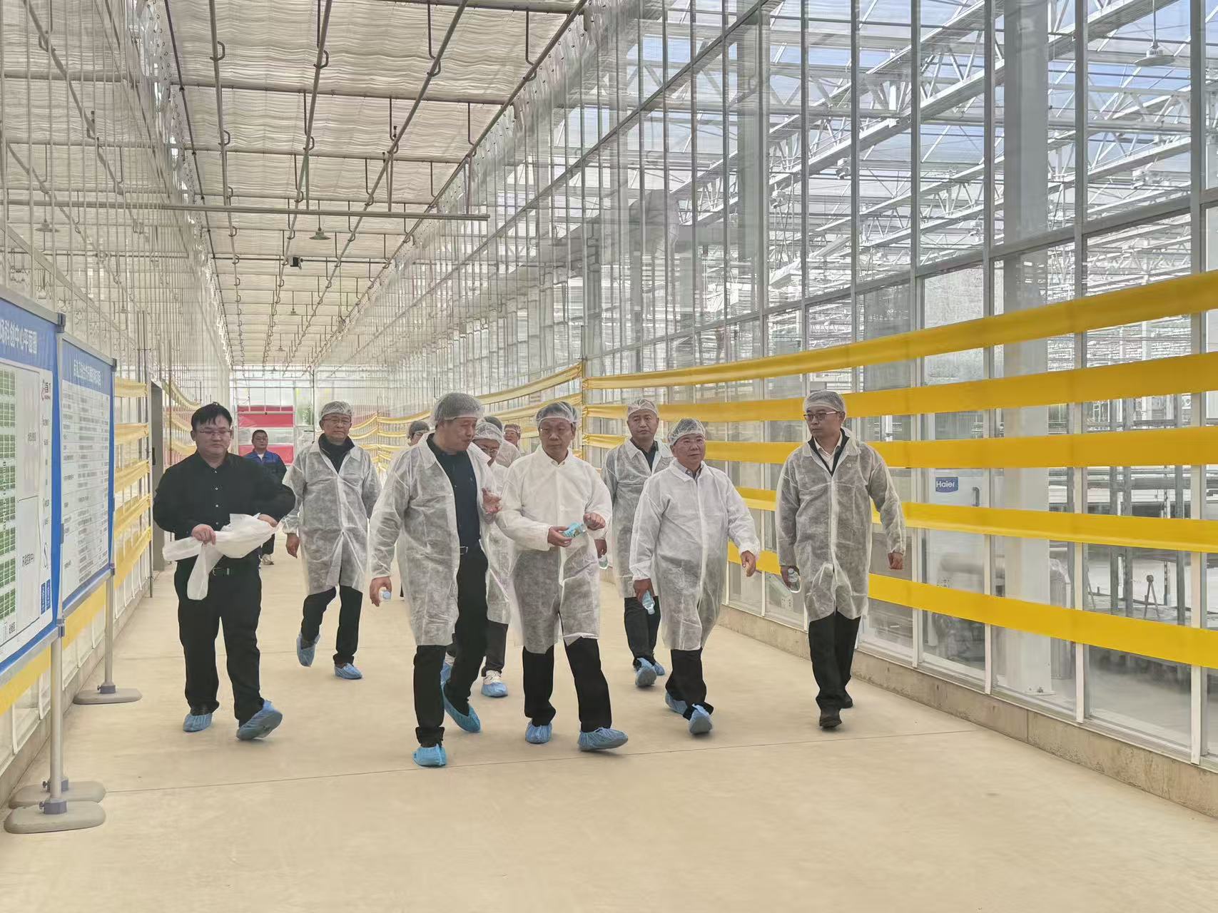 农业农村部科学技术司调研智能育种机器人应用场景