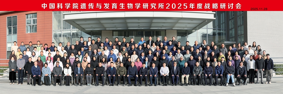 锚定国家战略 擘画创新蓝图——遗传发育所2025年度战略研讨会成功召开