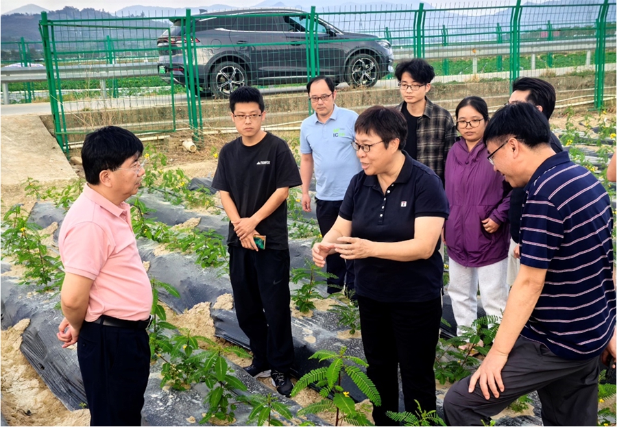 遗传发育所领导考察饲草育种团队三亚基地
