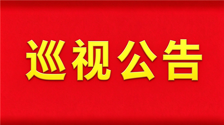 巡  视  公  告