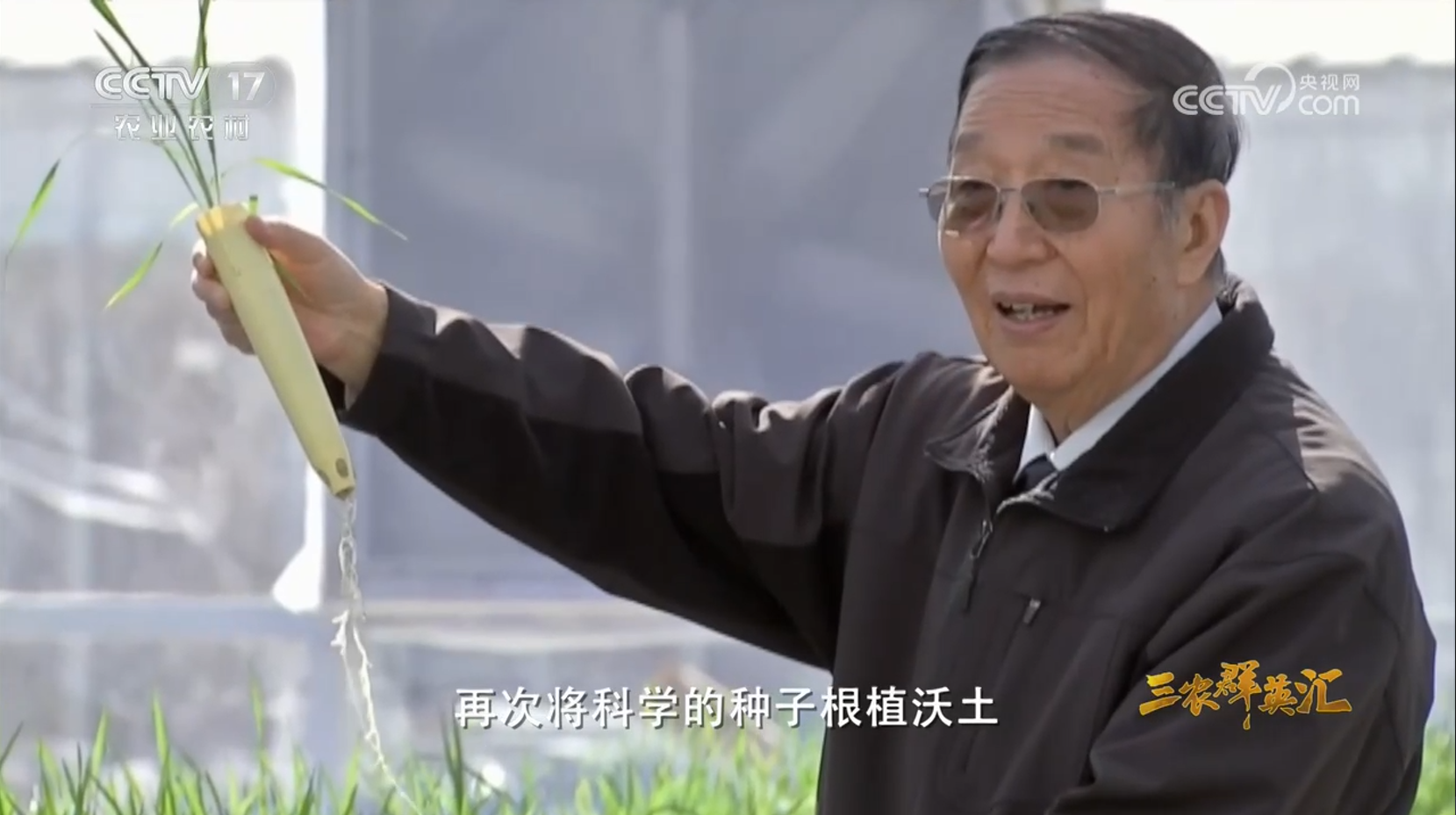 【中央电视台】大地脊梁 第2集 小麦科学家李振声