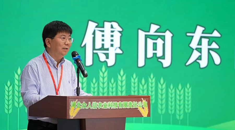 小麦赤霉病育种及单产提升战略研讨会在邯郸召开