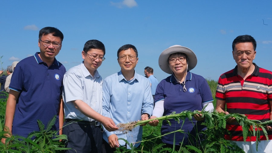 遗传发育所举办“田菁驱动的盐碱地改良与利用”技术成果观摩会