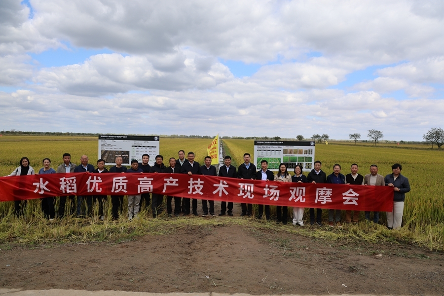 “水稻绿色优质高产技术”现场观摩会在江苏盐城召开